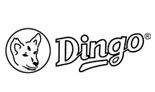 Dingo